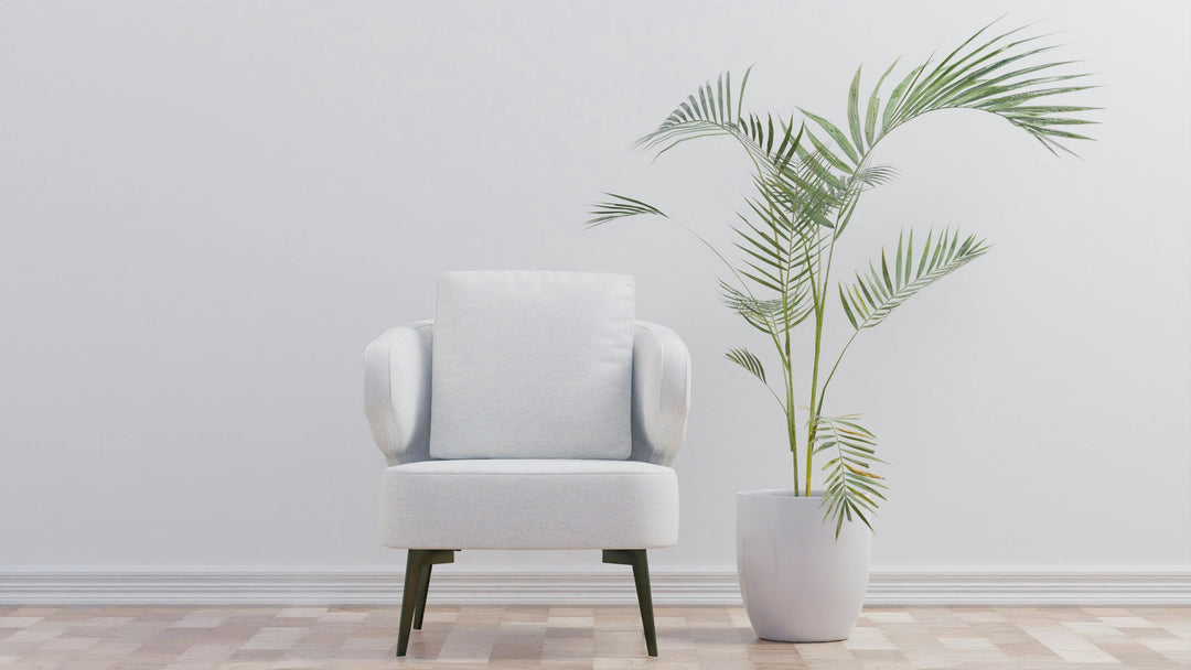 Home & Decoration