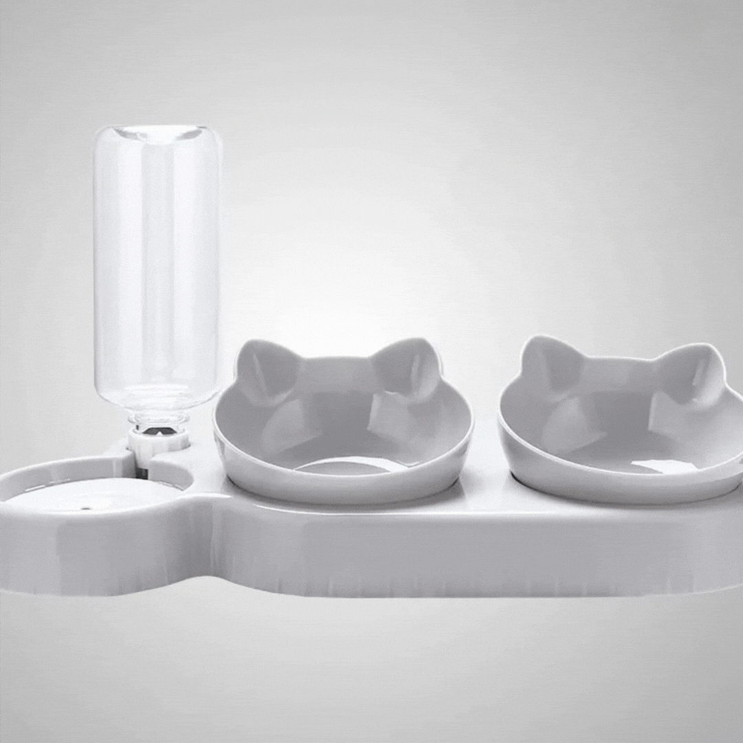 Grey 3-in-1 anti-slip cat bowl, perfect for neat feeding of dry kibble, wet food, and fresh water.