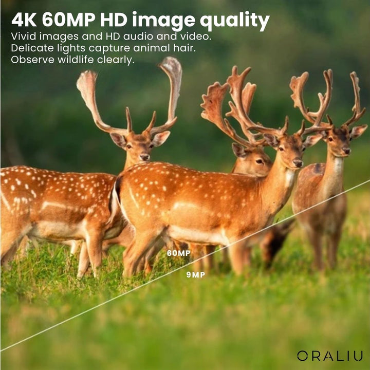 The robust 4K wildlife observation camera, designed for detailed capture of animals with app control features.