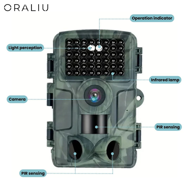 Wildlife camera capturing a deer at night, showcasing its 4K resolution, 60MP, and night vision capabilities.