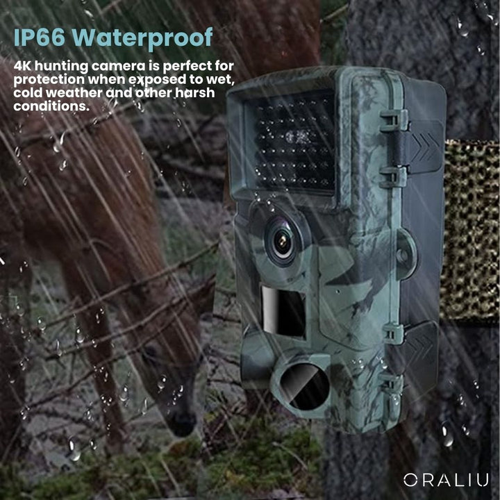 Weatherproof wildlife camera with advanced night vision, capturing clear footage in low-light conditions.