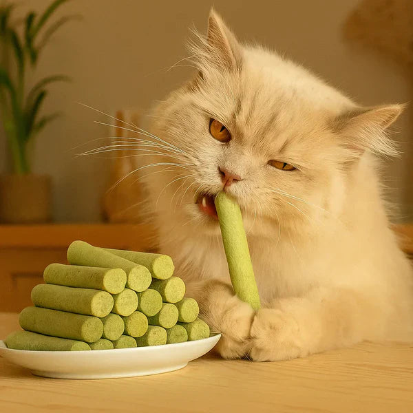 Natural cat grass sticks (6 pcs) for feline dental health, digestion & plaque removal. Healthy pet chew & treat.