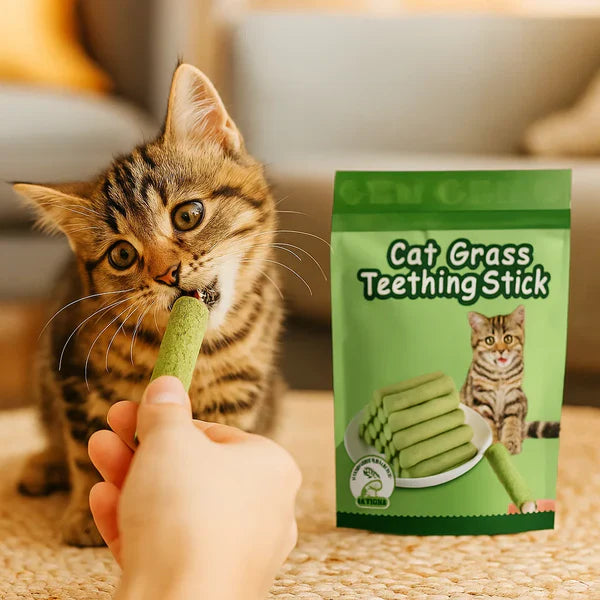 Natural cat grass sticks (6) promote healthy digestion & clean teeth for cats. A safe, edible chew toy treat.