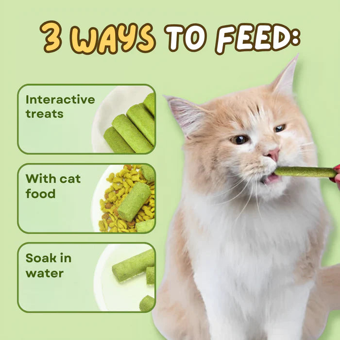 Set of 6 natural grass sticks for cats to aid digestion, clean teeth & control hairballs. Pet health & wellness.