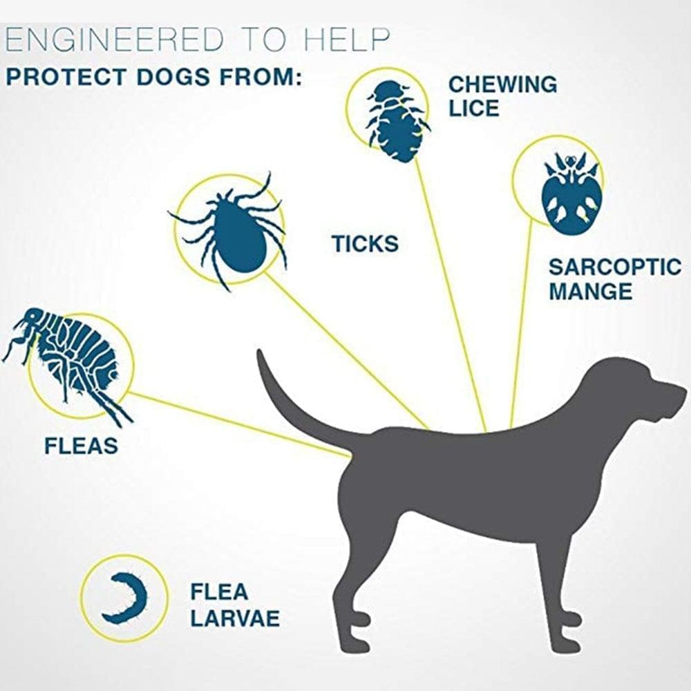 Effective 8-month anti-flea & anti-tick pet collar. Reliable, long-lasting protection for dogs & cats.