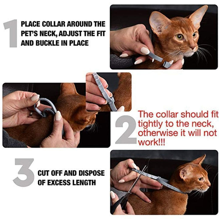 Protect your pet for 8 months with this anti-flea & anti-tick collar. Waterproof dog & cat pest solution.