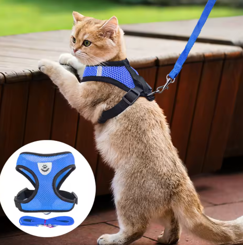 Adjustable cat harness and leash set for secure outdoor adventures and pet safety.