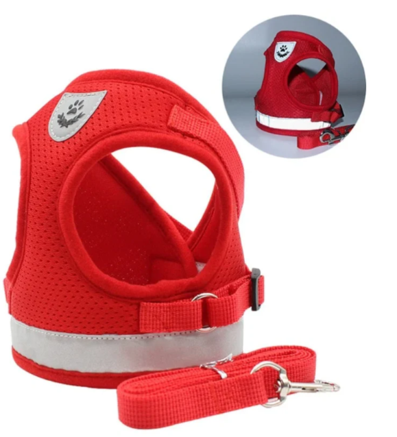 Secure cat leash and harness combo, perfect for training your pet to explore outdoors.