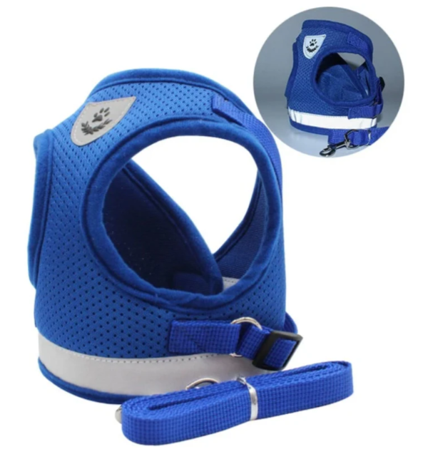 Durable cat harness and leash set designed for safe travel and pet exploration.