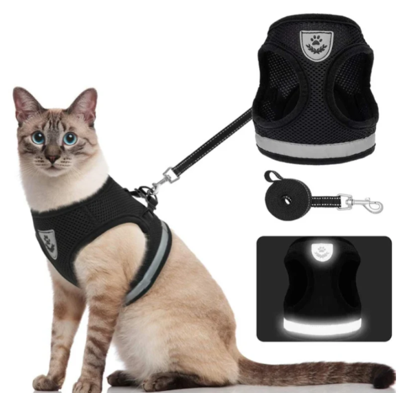 An adjustable, lightweight cat harness offering maximum comfort for your outdoor cat.