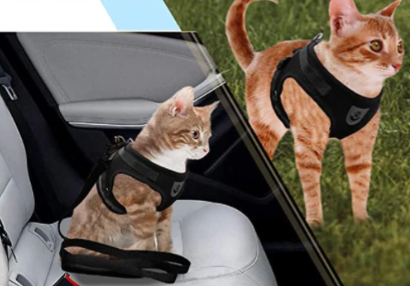 Ensure pet safety with this easy-to-use, adjustable cat leash and harness system.