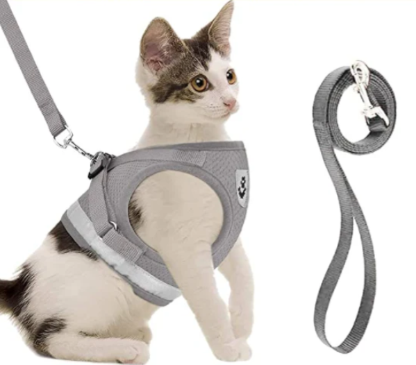 Explore the outdoors confidently with this breathable cat harness and secure leash.