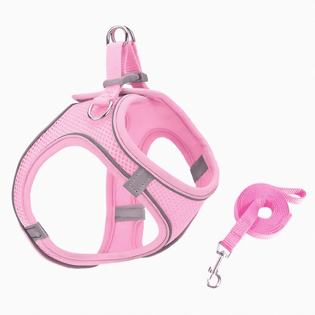 Escape-proof adjustable cat harness providing a secure & comfortable fit for outdoor adventures and daily walks.