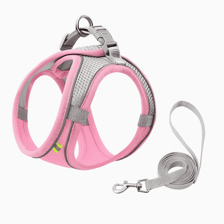 Comfortable cat walking harness for outdoor adventures. Adjustable and escape-proof for feline safety & exploration.