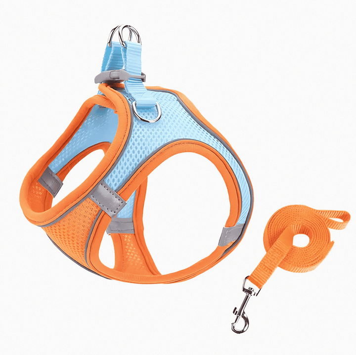 Soft, breathable adjustable cat harness with secure buckles for comfortable, escape-proof outdoor adventures.