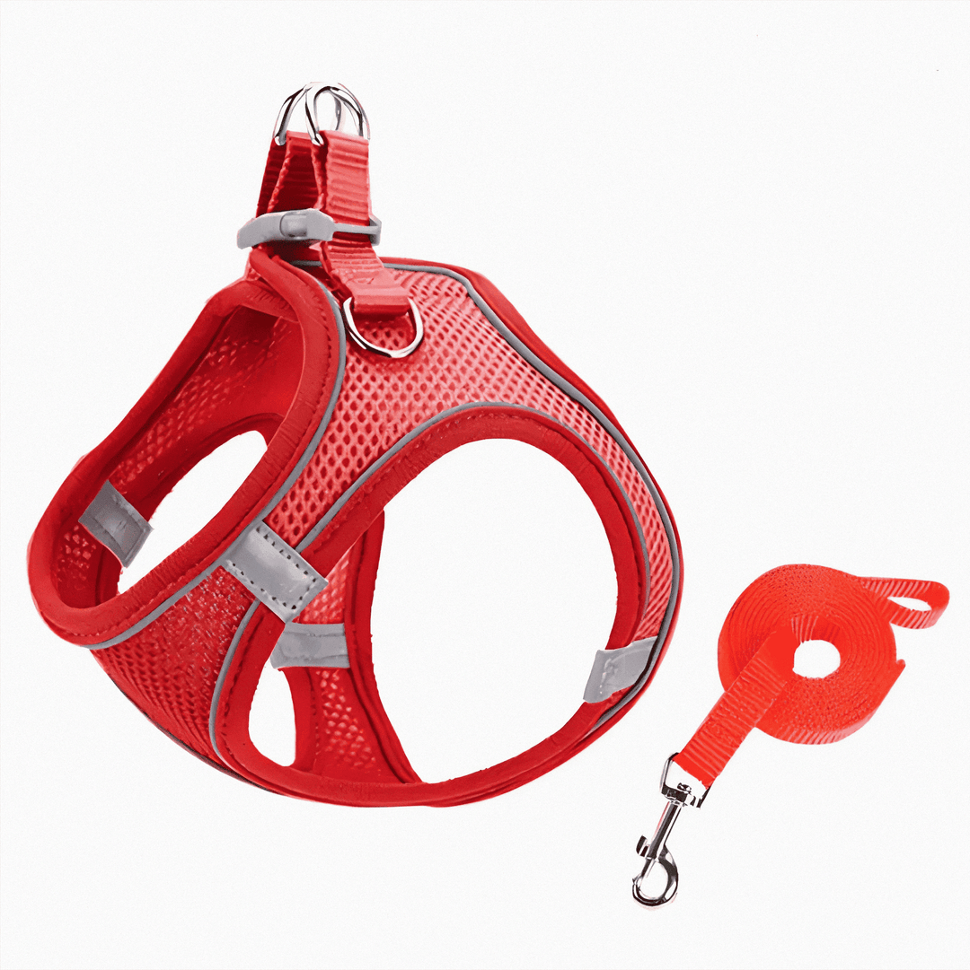 Stylish, adjustable cat harness & pet accessory, designed for escape-proof comfort during outdoor adventures.