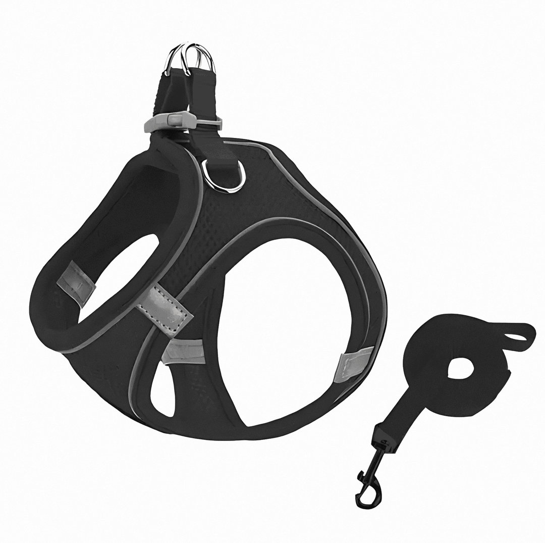 Empower your cat's outdoor adventures with this comfortable, adjustable, and escape-proof safety harness.
