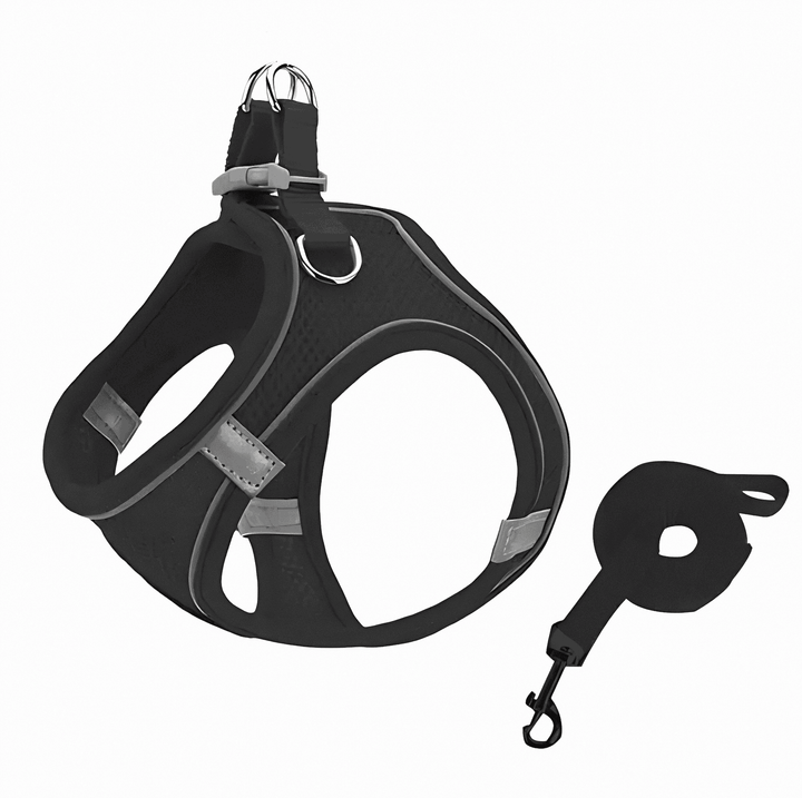 Empower your cat's outdoor adventures with this comfortable, adjustable, and escape-proof safety harness.