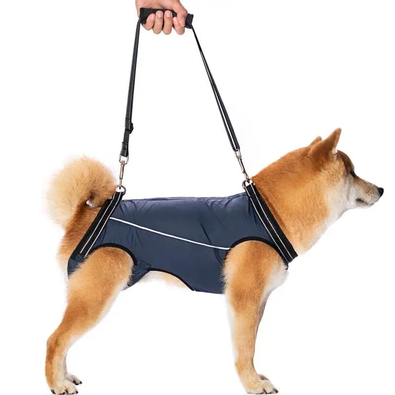 Adjustable dog lift harness for senior/injured pets. Mobility aid, comfortable support & walking assistance.
