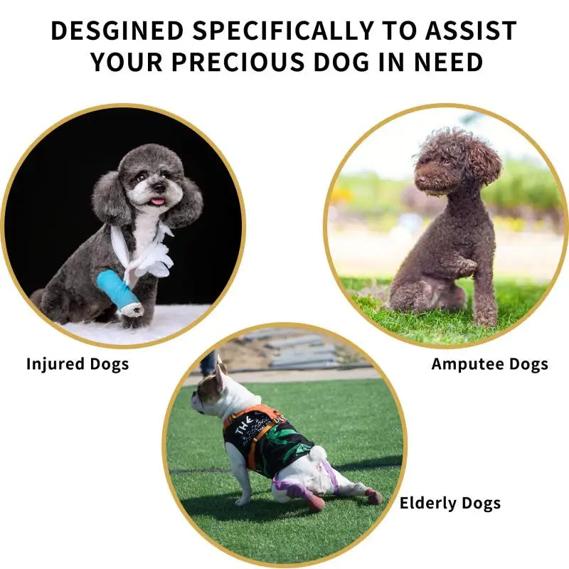 Easy-to-use adjustable dog lift harness for senior pets. Provides safe mobility support & comfort.