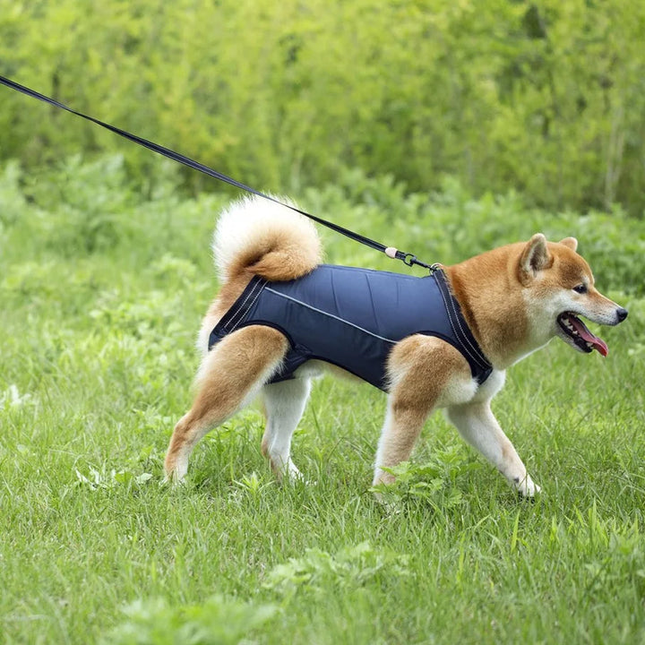 Practical dog lift harness for daily walks. Supports injured or senior pets with mobility aid.