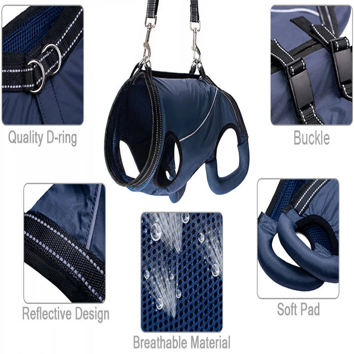 Safe walking assistance dog harness for injured or senior pets. Essential mobility support.