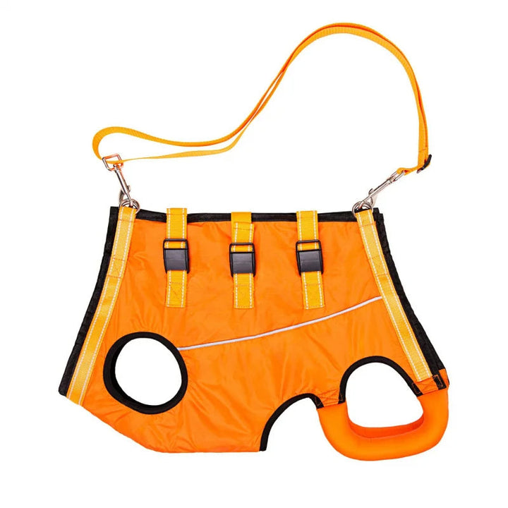 Injured dog support harness, adjustable pet lift for walking assistance & recovery. Pet mobility aid.