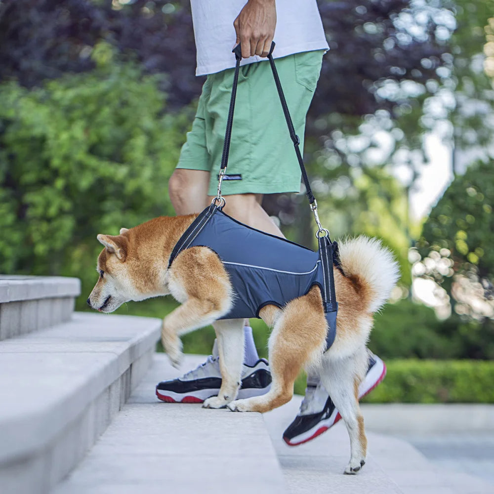 Rear leg dog lift harness for hip & back support in senior or injured pets. Aids mobility.