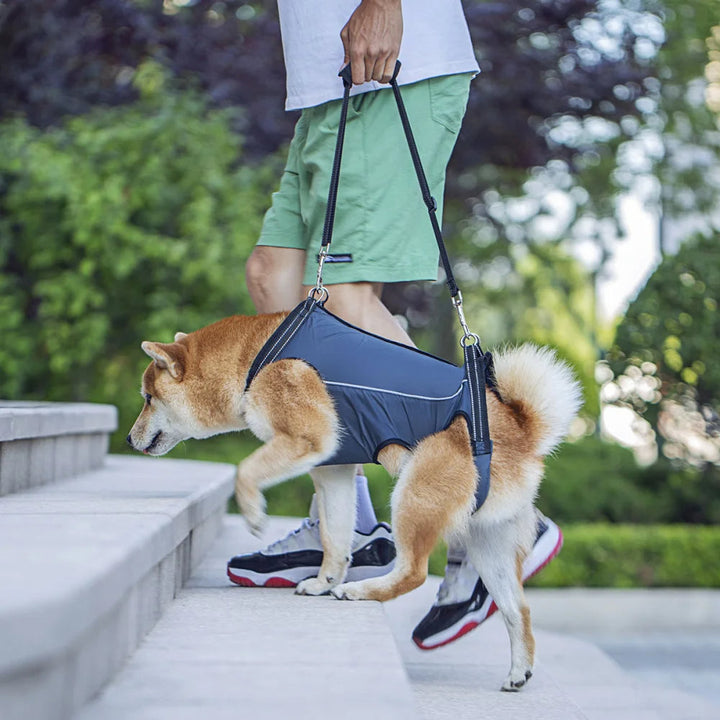 Rear leg dog lift harness for hip & back support in senior or injured pets. Aids mobility.