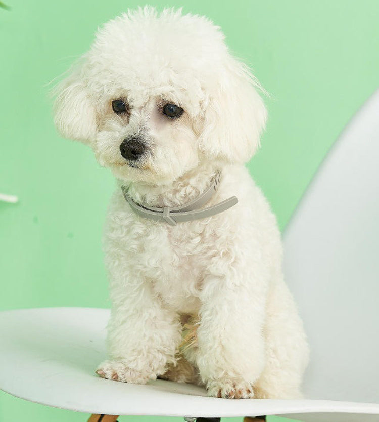 Adjustable waterproof dog collar for flea & tick protection. Long-lasting natural pest repellent.