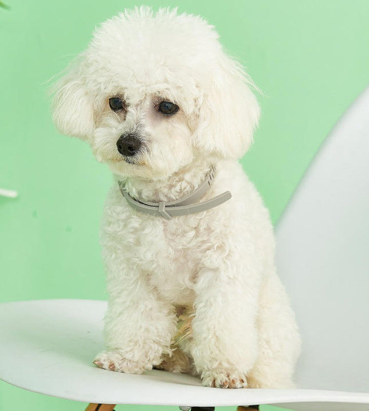 Adjustable waterproof dog collar for flea & tick protection. Long-lasting natural pest repellent.