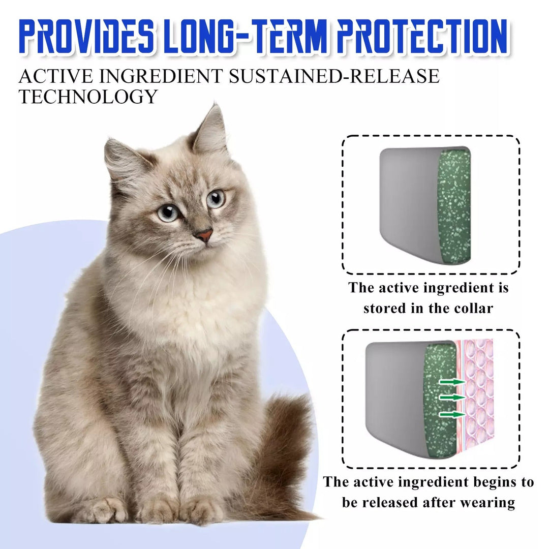 Cat wearing adjustable waterproof flea & tick collar for active outdoor protection.