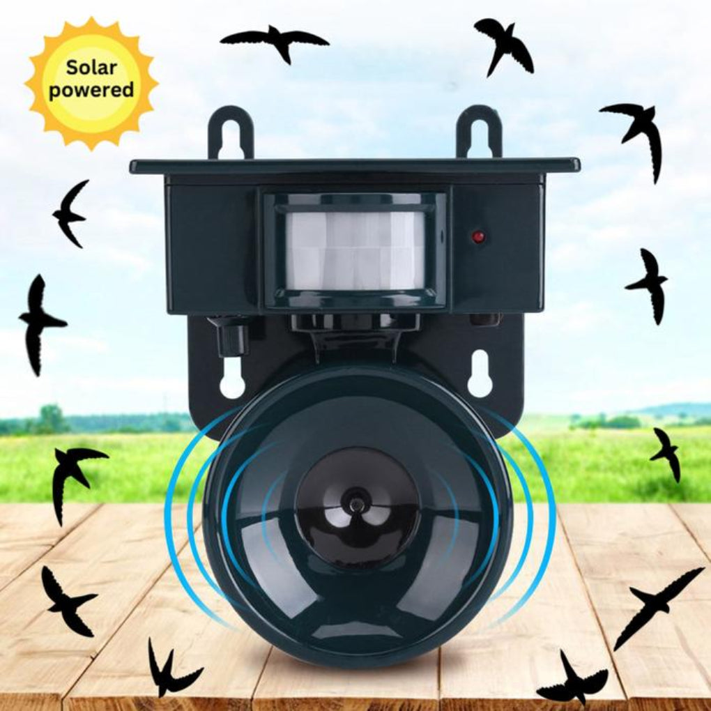 Enjoying outdoor spaces with advanced motion sensor bird deterrent, pest-free peace.