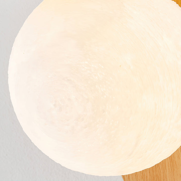 Energy-efficient wood effect LED indoor lighting, modern globe wall sconce.