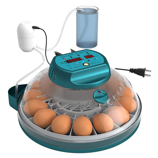 Automatic 15-egg incubator for home poultry hatching. Ideal for chicken, quail eggs with candler.