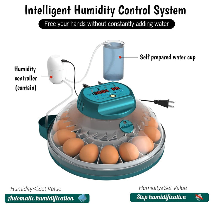 Compact automatic egg incubator, holds 15 eggs. Perfect for home hatching & educational poultry projects.