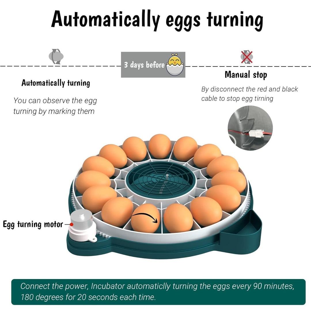Home egg incubator with automatic turning for 15 chicken or quail eggs. Easy & efficient poultry hatching.
