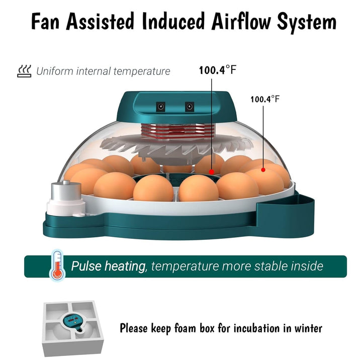 Digital 15-egg incubator with built-in candler for home hatching. Monitor embryo development easily.