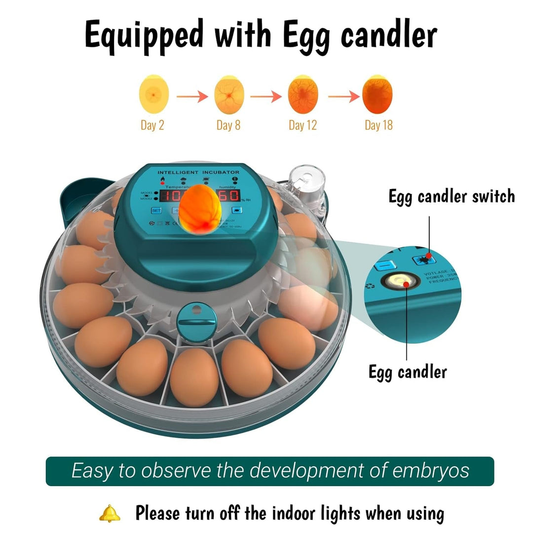 Pet supplies automatic egg incubator for 15 chicken & quail eggs. Reliable for home poultry hatching success.