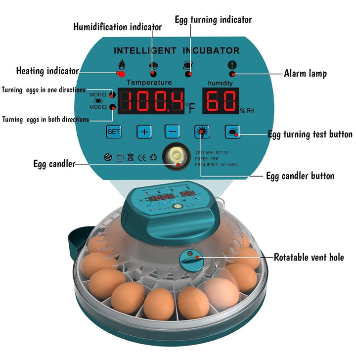 Automatic 15-egg incubator & candler kit. Essential pet supplies for successful home chicken & quail hatching.