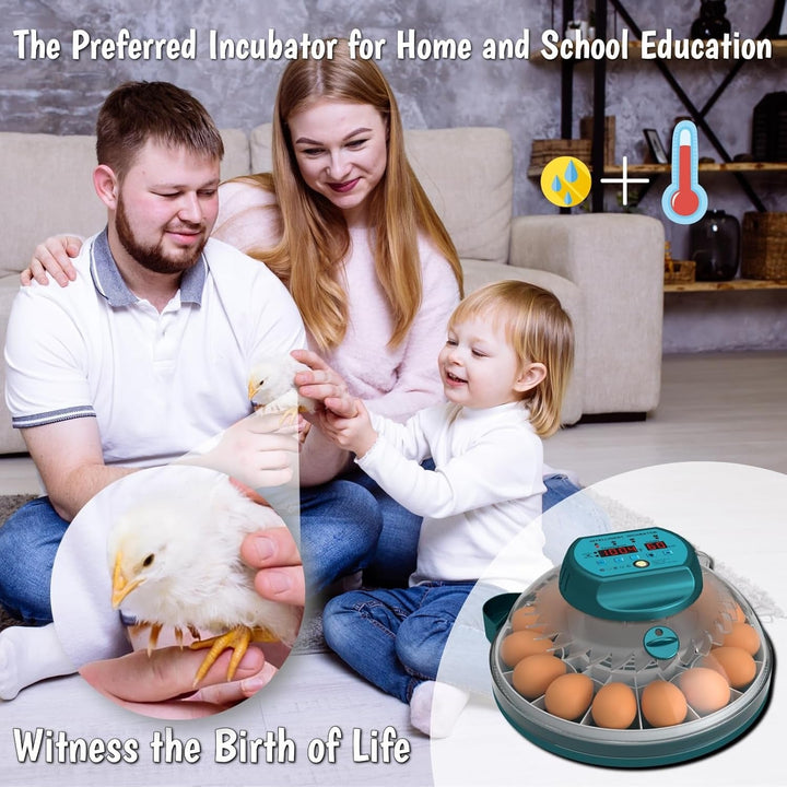 Efficient automatic 15-egg incubator for home poultry hatching, featuring egg candler for observation.