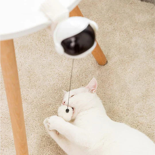 Automatic cat toy for interactive play & feline exercise. Engaging pet enrichment.