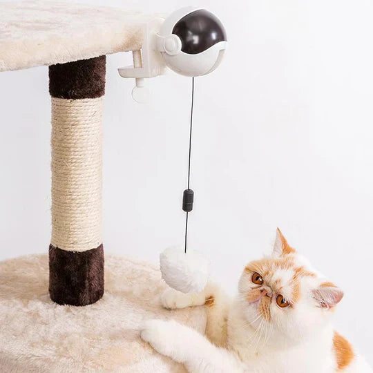 Interactive automatic cat toy providing stimulating exercise and entertainment for cats.