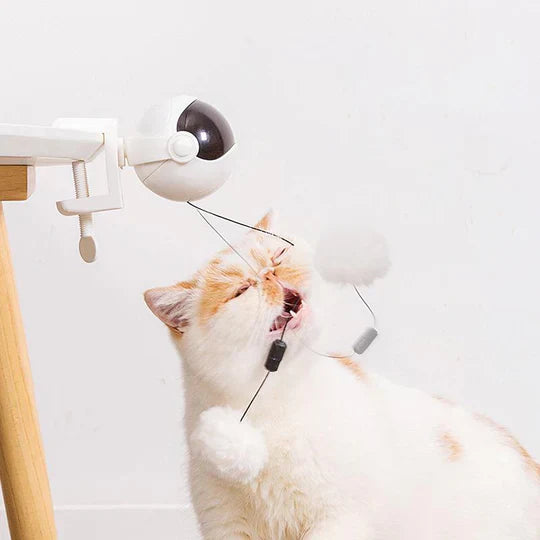 Fun automatic cat toy for feline play, enrichment & daily active exercise.