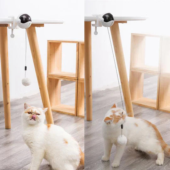 Pet enrichment automatic cat toy provides stimulating play & healthy exercise.