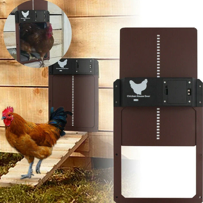 Easy-install automatic chicken coop door system, a reliable poultry accessory for secure & hands-free chicken care.