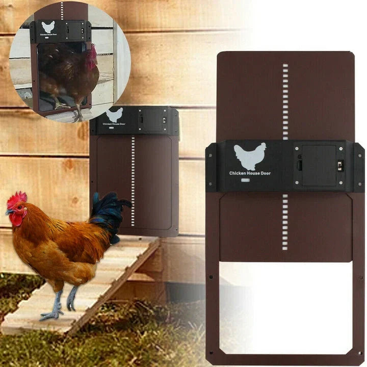 Automatic chicken coop door, weatherproof for all seasons, ensuring hands-free poultry security & convenience for farm owners.