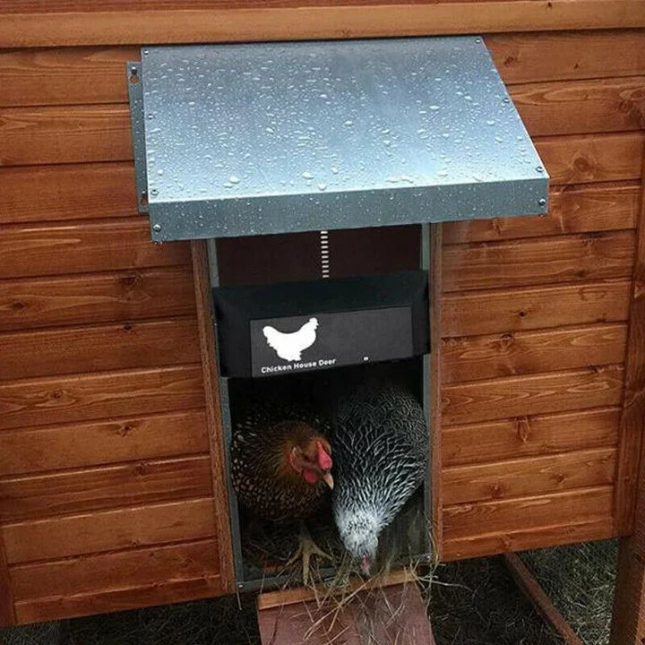 Durable, weatherproof automatic chicken coop door provides reliable poultry access & enhanced security for farm animals.