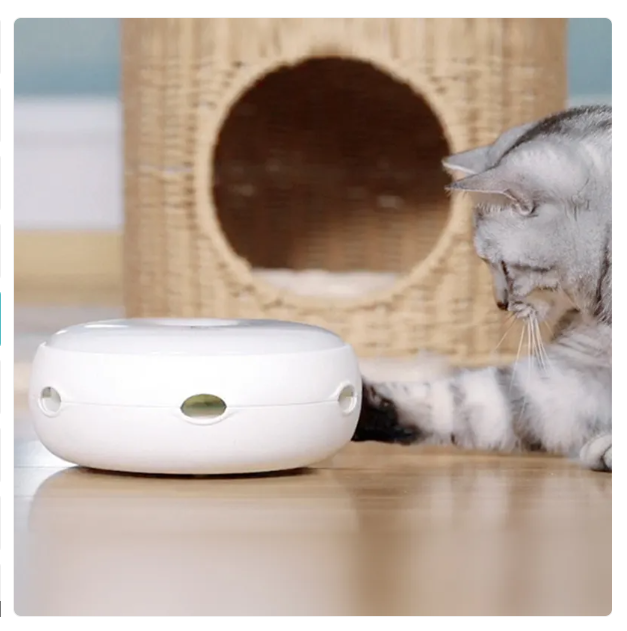 Engaging automatic feather toy for indoor cats & kittens; promotes active play, enrichment & fun pet entertainment.
