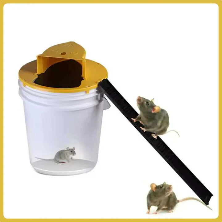 Automatic reset mouse trap for home, safe & hands-free rodent control, reusable indoor pest management.